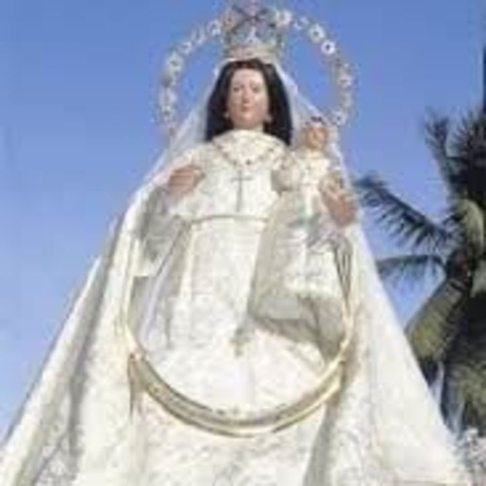 Meet your Posher, Millie